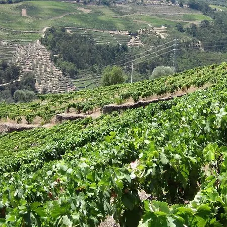 Quinta Da Costa Vakantiehuis