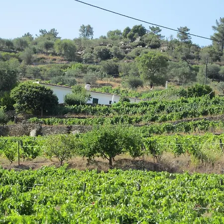 Quinta Da Costa Provesende