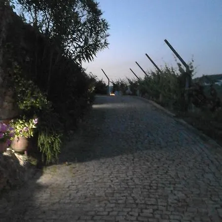 Quinta Da Costa Vakantiehuis Provesende